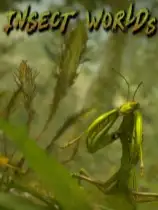 昆虫世界