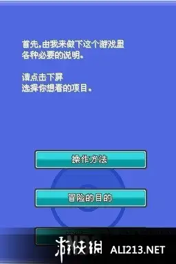 口袋妖怪：灵魂之银 截图2