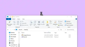 猫伴侣 截图1