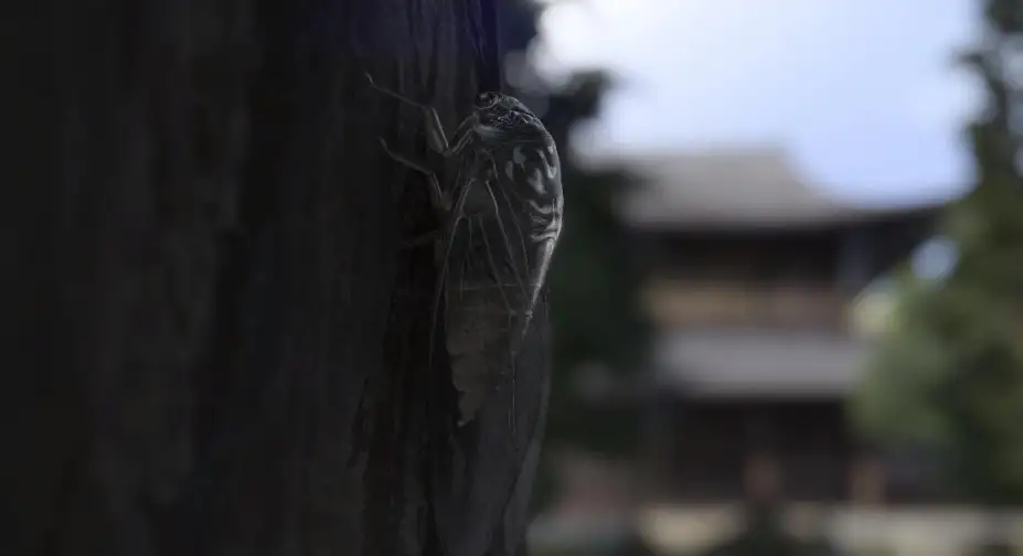 如龙7外传：无名之龙 截图1