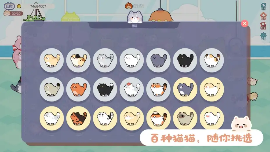 猫语拾光 截图3