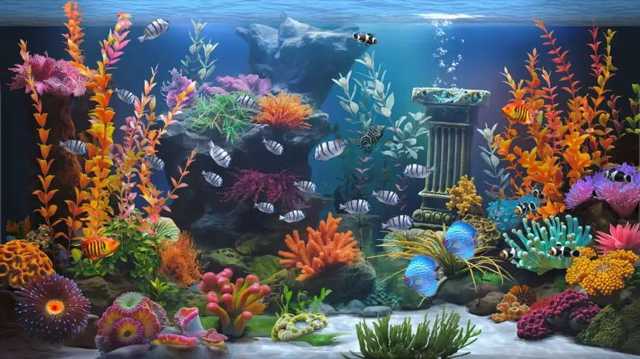禅意水族馆 截图1