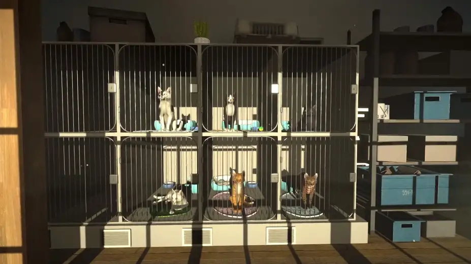 冒牌猫谜 截图3