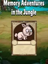 Memory Adventures in the Jungle