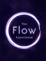 流动体验