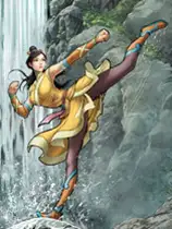书雁传奇