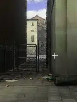 PARAEDOLON