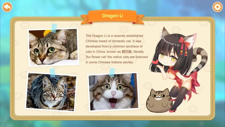 猫咪小姐2 截图2