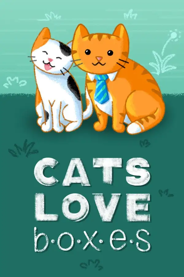 猫咪爱盒子