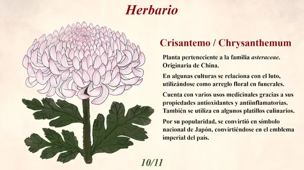 Blumenia-植物世界的故事 截图1