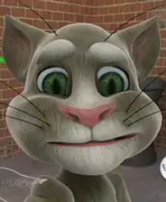 会说话的汤姆猫2