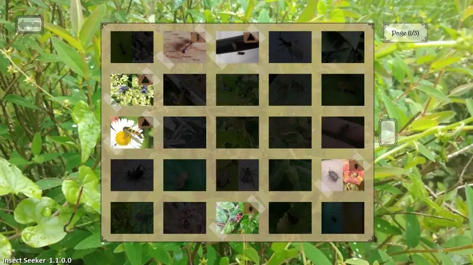 昆虫探寻者 截图3