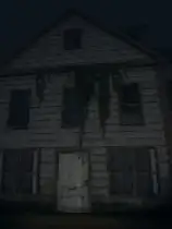 Nocturnal Visit
