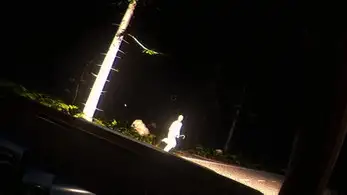 恐惧之路 截图1