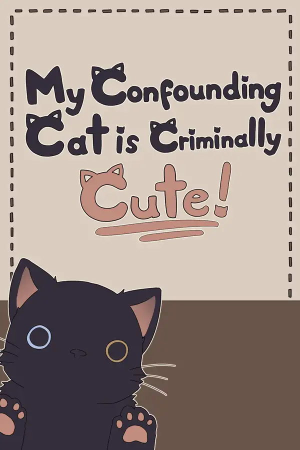 我家猫咪真是可爱到犯规！