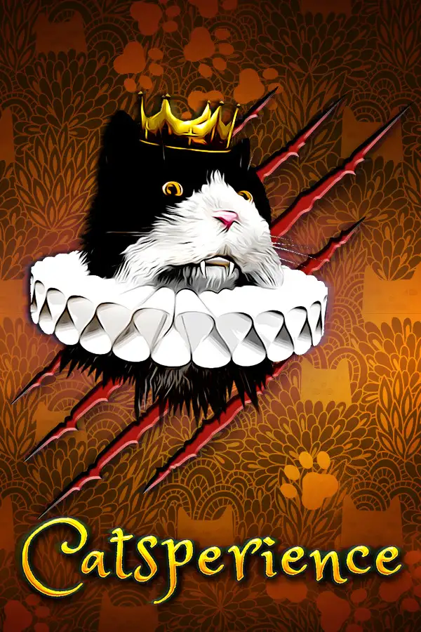猫体验
