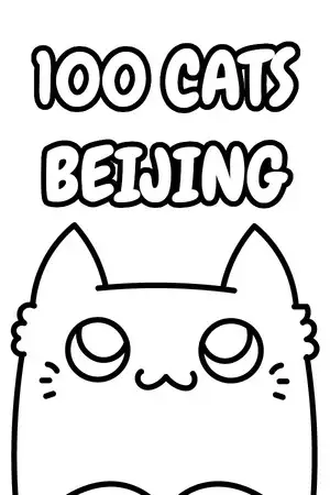 100只猫北京