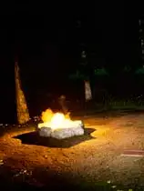 异常研究：秘密森林