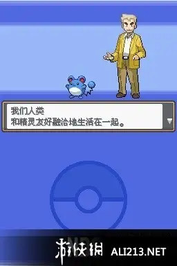 口袋妖怪：灵魂之银 截图3