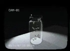 罐子里的苍蝇 截图2
