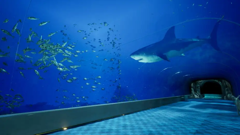 8月32日的水族馆 截图3