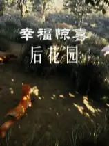 幸福惊喜后花园