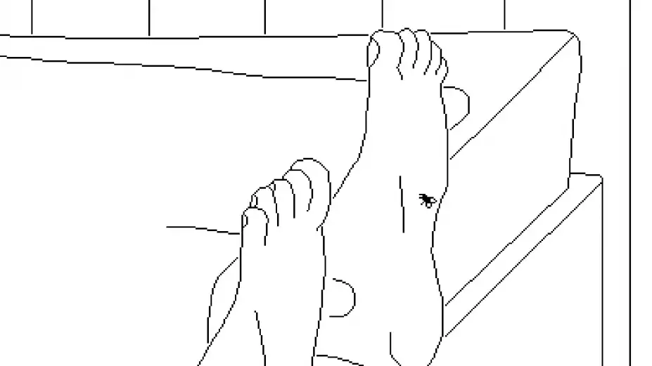 逝者如斯蝇 截图2