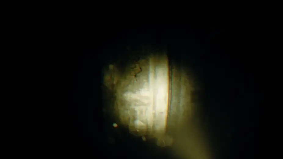 REC: Beyond The Lens 截图3