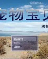 宠物宝贝