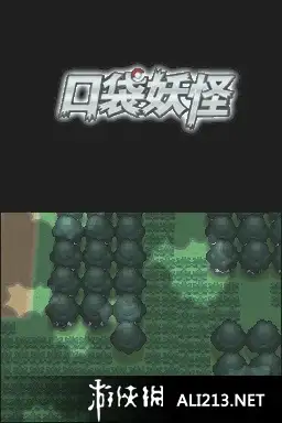 口袋妖怪：白金 截图3