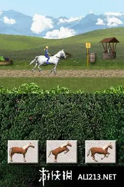 我的宠物旅馆 截图2