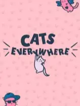 猫咪无处不在