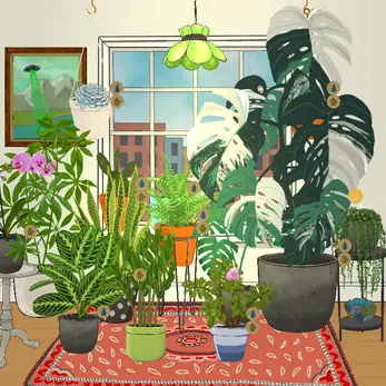 植物疗法 截图3