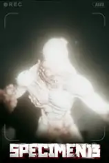 标本13