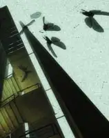 心颤HD
