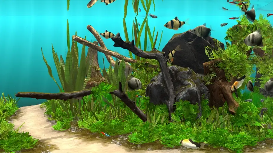 玻璃背后：水族箱模拟器 截图2