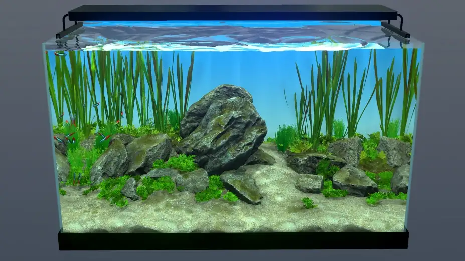 玻璃背后：水族箱模拟器 截图1