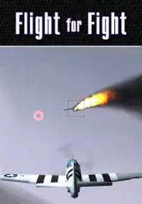 空中战斗