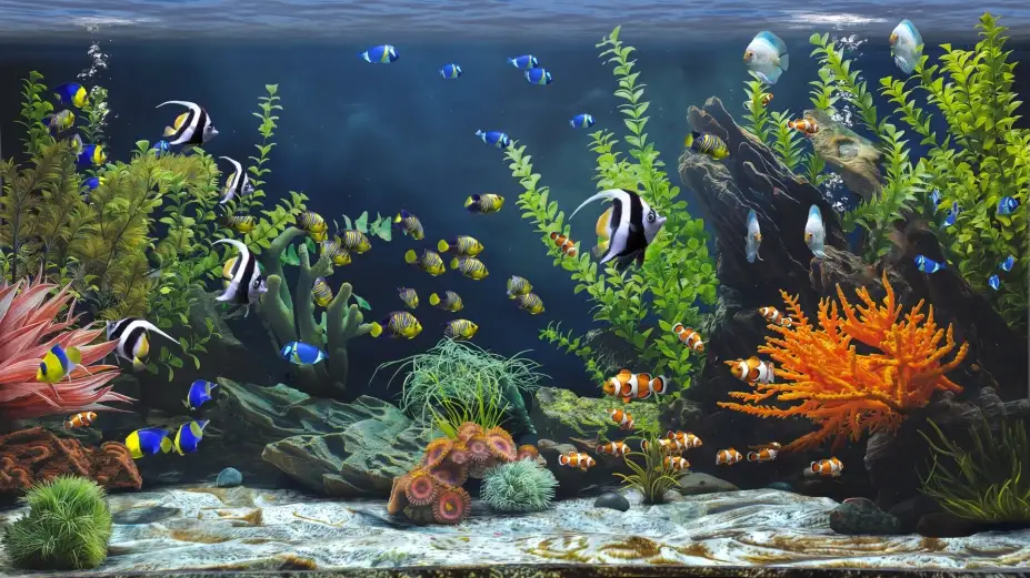 禅意水族馆 截图2