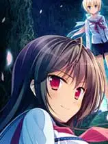 樱之杜†净梦者